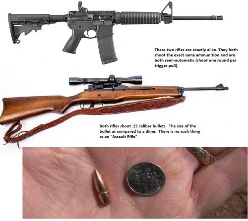 Ruger AR556