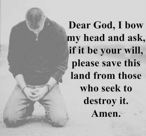 FB_IMG_1604538715379