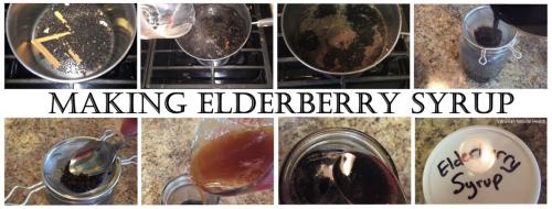 Elderberry