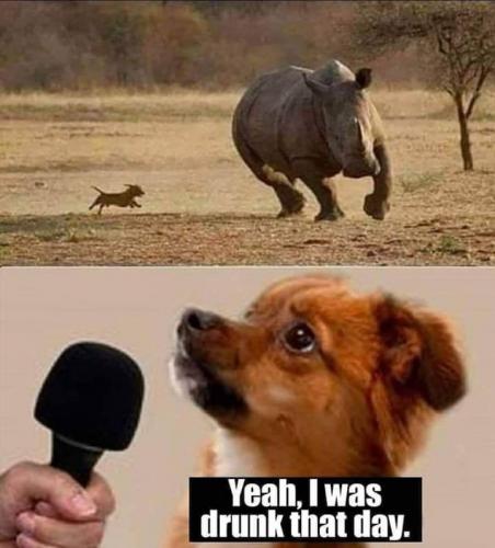 FB_IMG_1606583780861