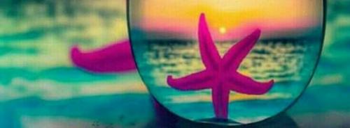 FB Covers - Beach