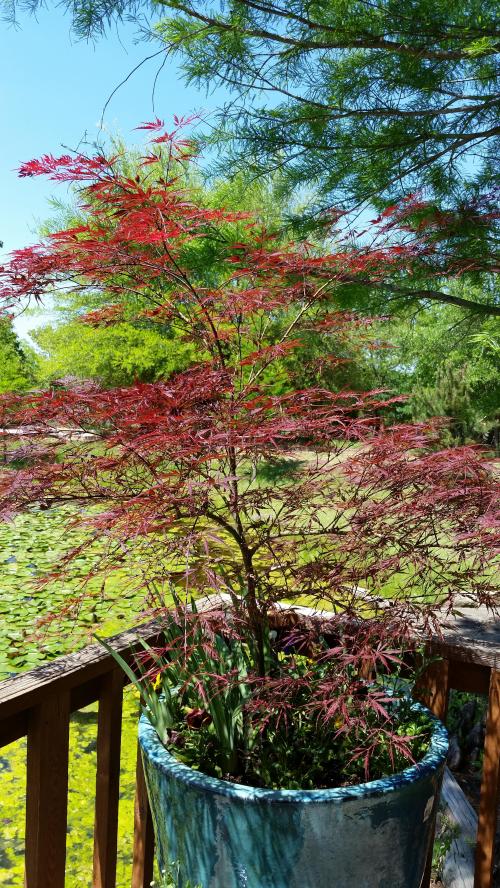 20180429_145038