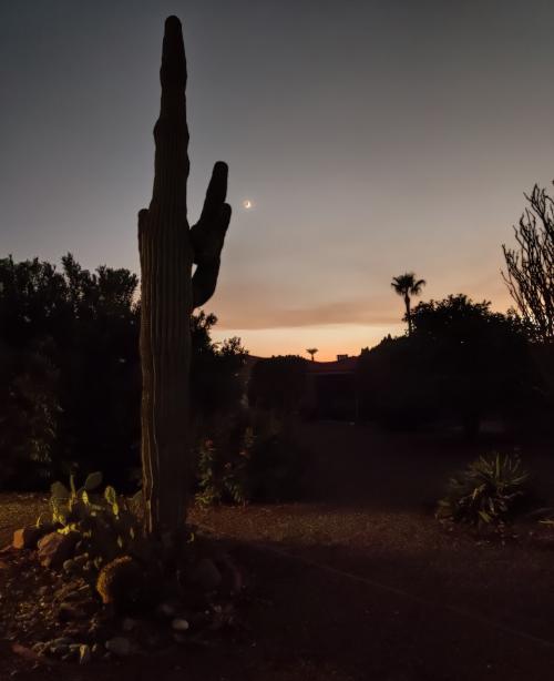 nightshot