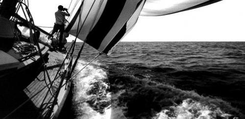 13055430_10206153976787895_3181418677265923933_n