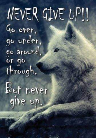 FB_IMG_1604910747782