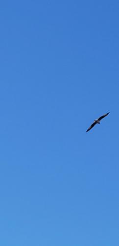 20201117_114358