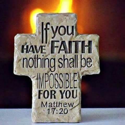 FB_IMG_1605601784479