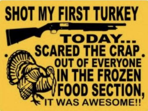 shot my first turkey today