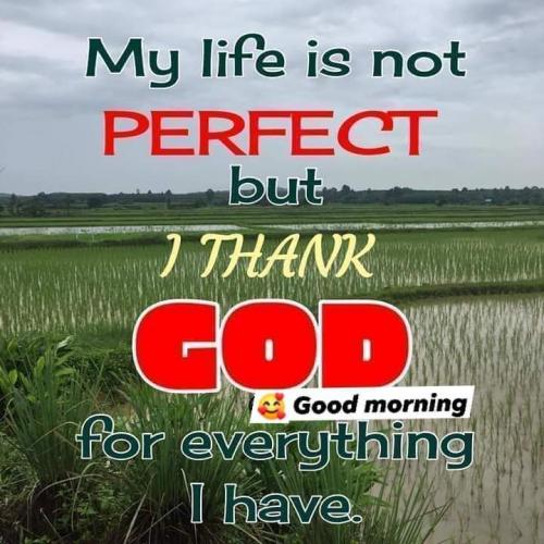 FB_IMG_1605962632379