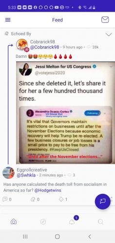 Screenshot_20201114-173314_Parler