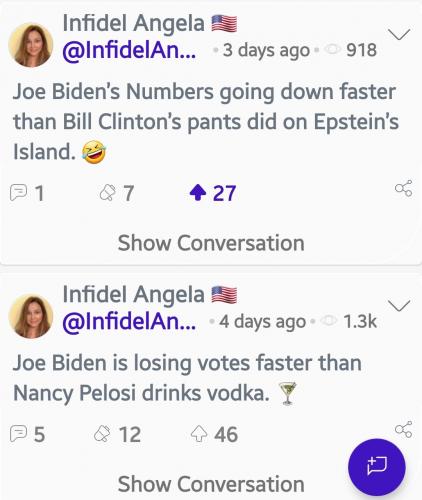 Screenshot_20201114-135144_Parler