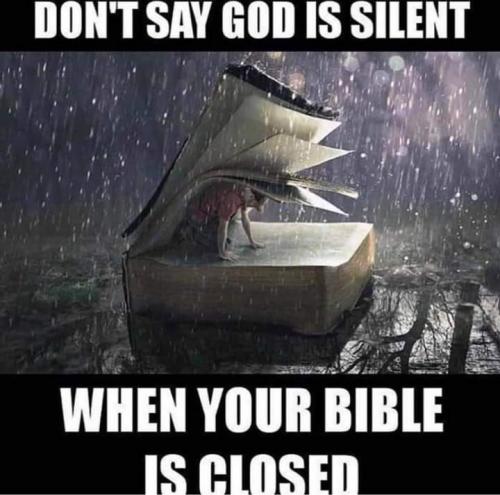 FB_IMG_1606436533218