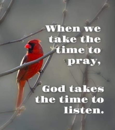 FB_IMG_1606172665196