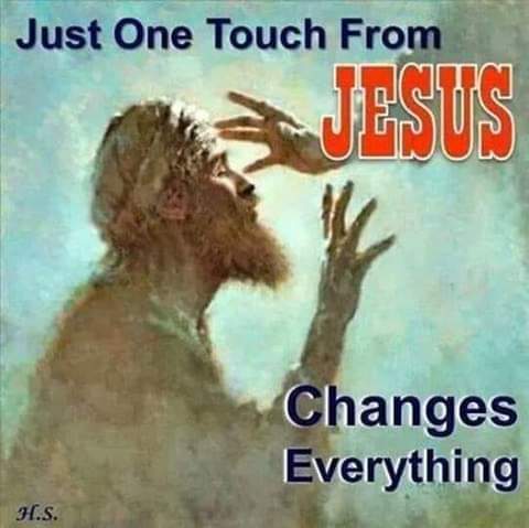 FB_IMG_1604910603566