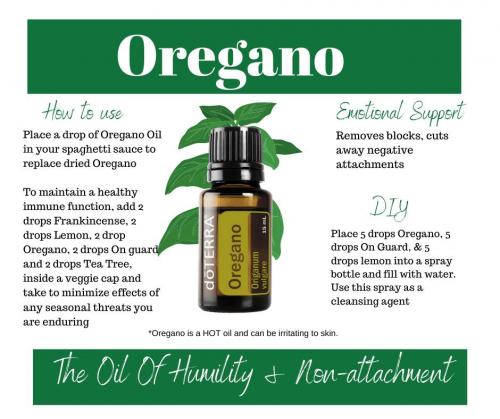 Oregano info