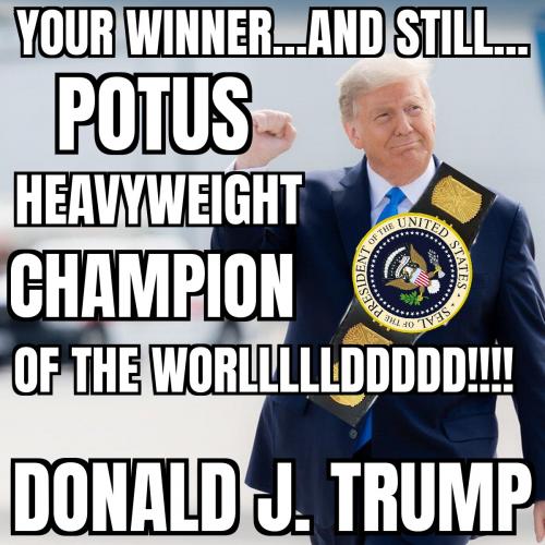 Trump 2020 POTUS HWT