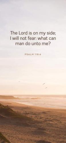 FB_IMG_1605272291412