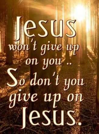 FB_IMG_1606263461884