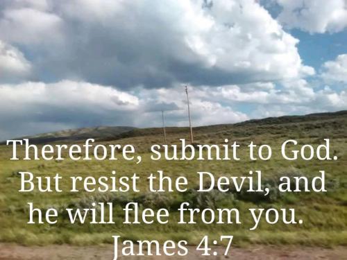 1605292058566_verse_image