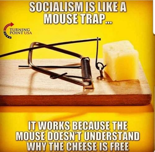 FB_IMG_1606069020317