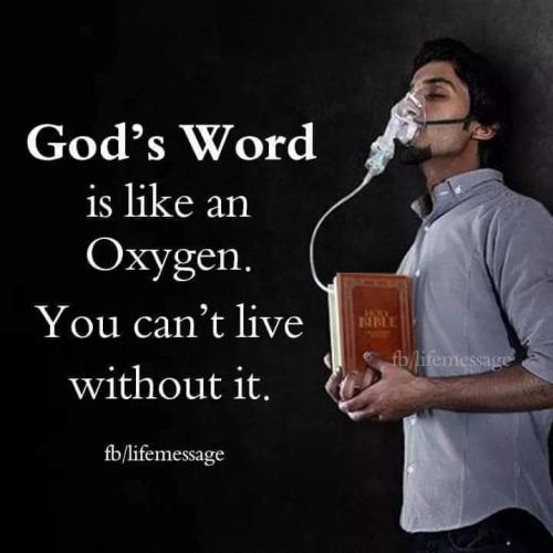 FB_IMG_1609215837757