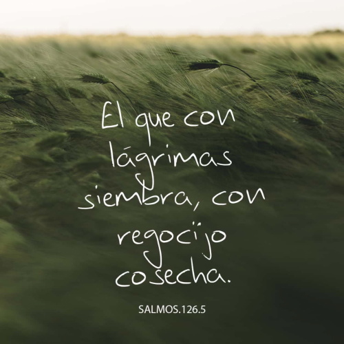 save-image
