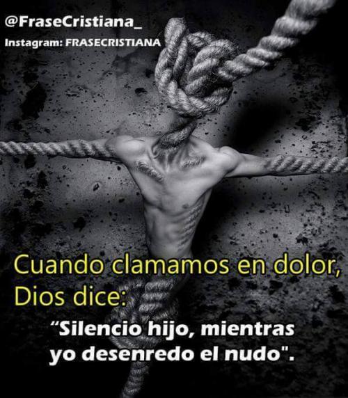 FB_IMG_1608566039406