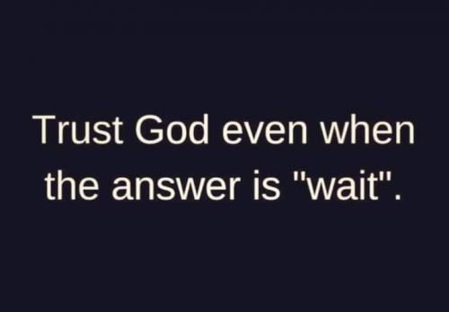 FB_IMG_1607137302173