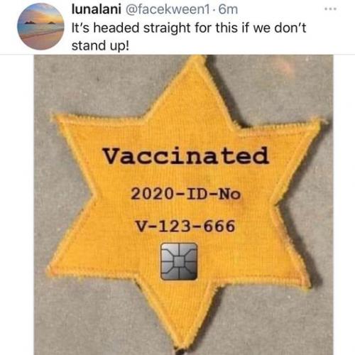 128403321_196356475428294_2086293421174514693_o