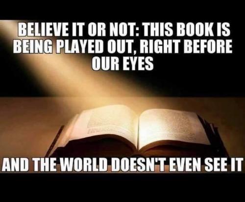 FB_IMG_1607942516582