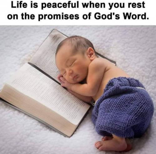 FB_IMG_1607507381202