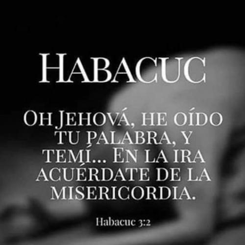 FB_IMG_1608512809067