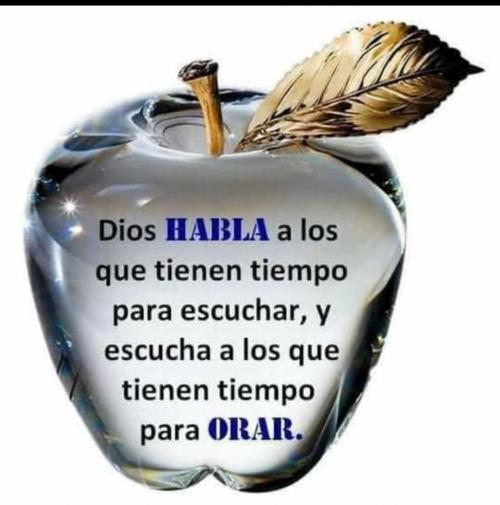 cfa277b5-509e-45a5-a40c-eda8f6f243bc