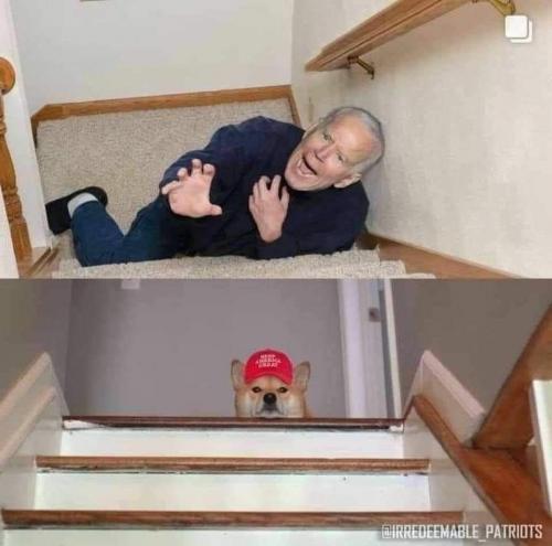 FB_IMG_1606790386590