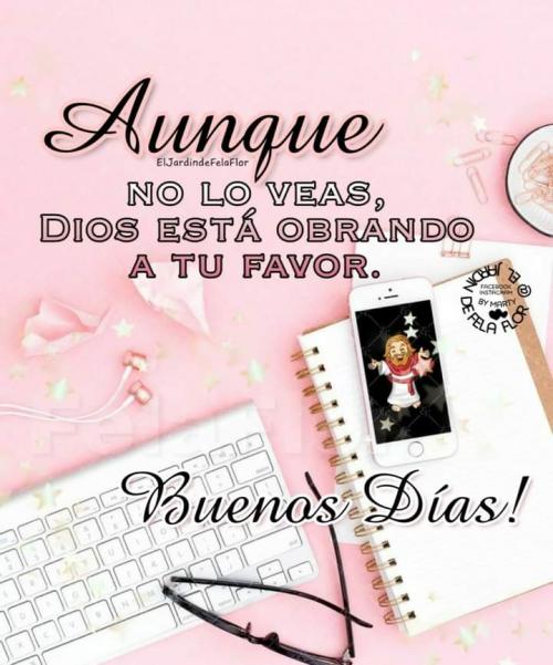 FB_IMG_1608516339328