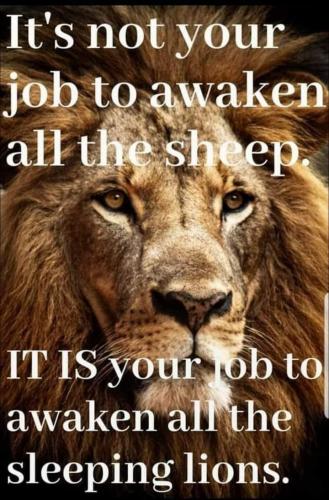 lions