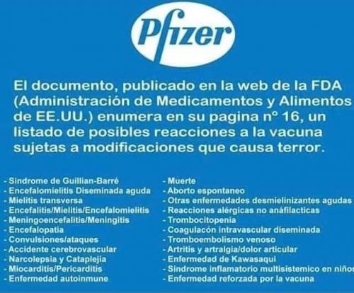 FB_IMG_1608639822175