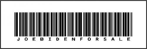 BIDEN 12182020 A