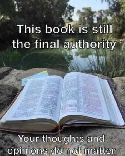 FB_IMG_1608166547626