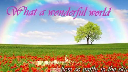 wonderful world