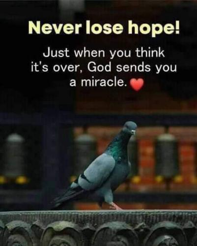 FB_IMG_1608084310878