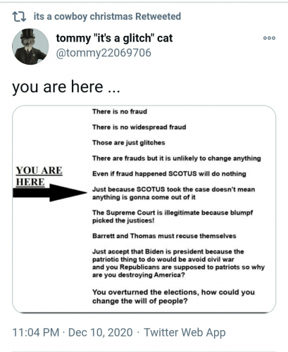 TRUMP.Q.CAT.