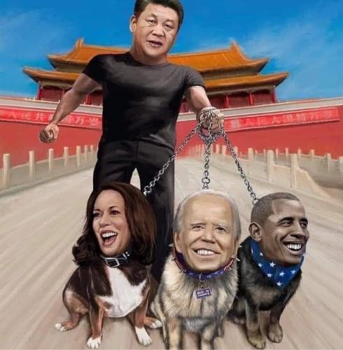 chindogs