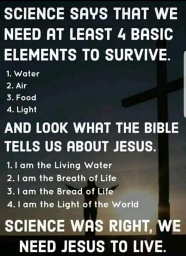 FB_IMG_1607856885421