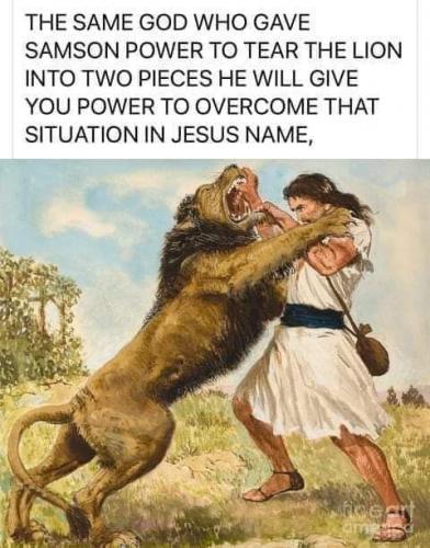 FB_IMG_1606871280946