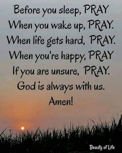 FB_IMG_1608509379456
