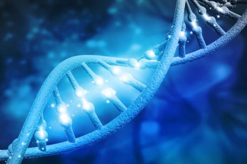 DNA-Molecules-Illustration-777x518