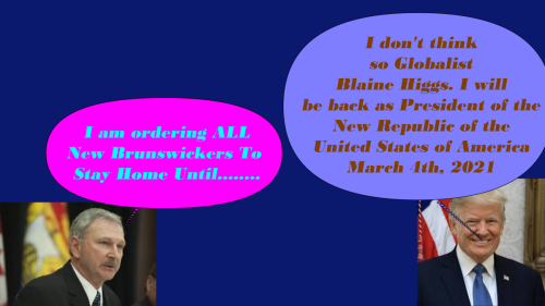 Blaine Higgs Vs Donald Trump