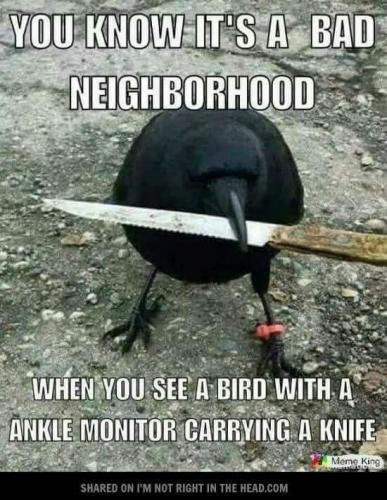 FB_IMG_1610092219684