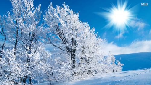 winter-wide-wallpaper_033825776_27